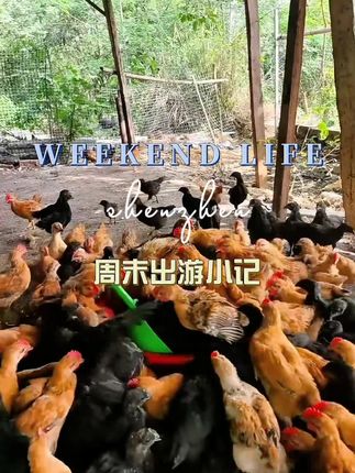 #李羲承 #李義承让粉丝闭眼 #李義承符神颜 #李義承的无限魅力 #李羲承生日快乐