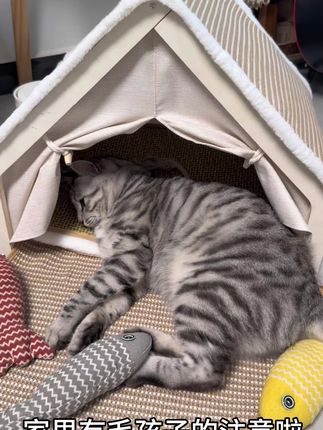 1.给猫咪的“多功能小天地”来啦!这款猫窝自带房顶麻垫供主子站立磨爪,洞穴窝身契合钻躲本能,上方露台是纳凉好地方,实木框架稳当不晃,搭配柔软毛绒垫,还附赠逗猫小球,让猫咪玩到不想挪窝! 2.想让猫咪住得开心又自在?这款专属猫窝全搞定:房顶麻垫能磨爪,洞穴窝身藏猫猫,露台可乘凉,实木框架够稳固,毛绒垫子超舒服,再加上逗猫小球,猫咪简直爱到不行!#萌宠 #猫咪 #猫窝 #猫咪好物