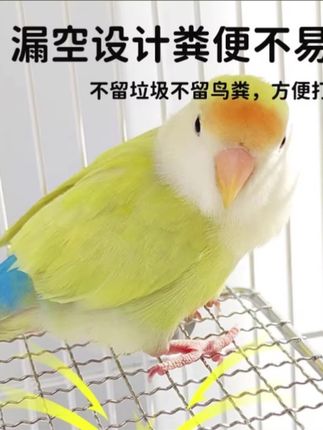 鹦鹉休息平台大跳台虎皮牡丹鸟站台DD#萌宠成长记 #好物推荐🔥 #家有宠物 #鹦鹉日常
