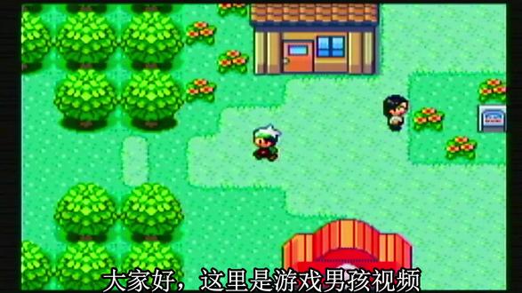 《神奇宝贝 绿宝石》第2集:挑战卡那兹道馆馆主杜鹃