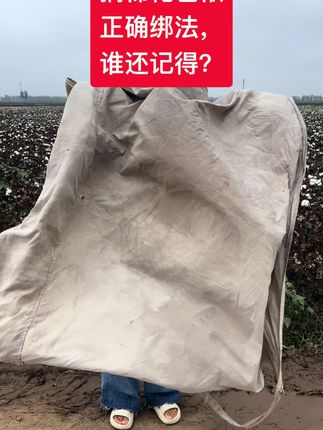 小时候没少摘棉花#棉花衣 #纯棉花