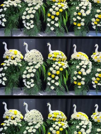 徐州花艺培训正在直播 #零基础花艺 #插花培训 #花艺培训 #花艺教程 #殡葬花艺培训王洁老师 徐州花艺培训王洁老师