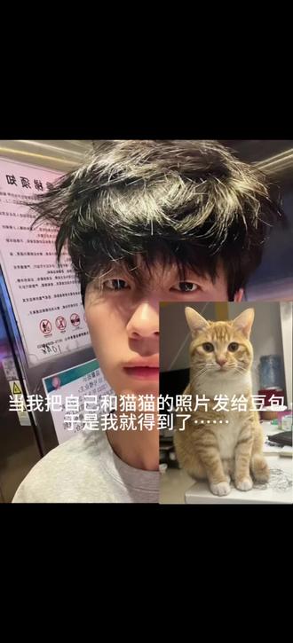 世界不能没有小猫咪 #狸花猫 小猫 #豆包 你还是太权威啦!和猫猫相拥 和自家萌宠合照 和猫猫拥抱ai合照指令教程来啦!#和宠物合照 豆包p图和猫猫合照 #豆包ai #豆包P图已经nextlevel了