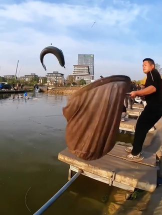 浪昇全新升级竞技狼牙子线,专为黑坑设计,如果您经常切线跑鱼,不妨试试这款竞技狼牙吧!#钓鱼人 #渔具用品 #子线双钩 #竞技狼牙