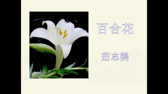 《百合花》中的双重过滤 #高中语文 #小说 #《百合花》#叙述