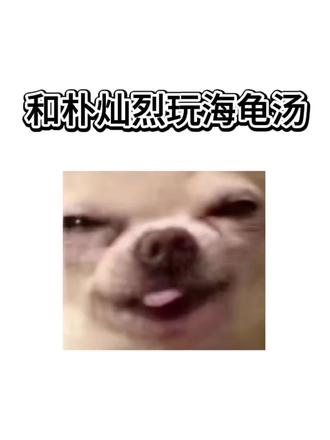 和#朴灿烈 玩海龟汤#Bubbly#lovemo#ai