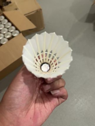 不怕打坏的羽毛球,坏了就退!训练无忧 今天下午四点半到六点钟有活动!拍一单送两包球!还有运费险!#健身#羽毛球#羽毛球训练#耐打羽毛球推荐#耐打羽毛球