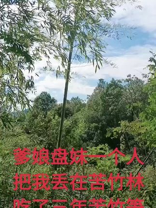 大山深处自然美山清水秀好风光