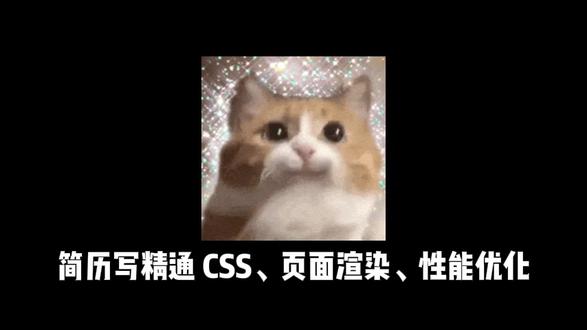 面试官:前端性能优化指标有哪些?怎么进行性能检测? #前端 #前端开发 #前端面试 #前端面试题 #找工作