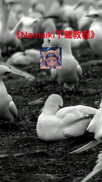 《秘境开启》namaiki游戏详细安装教程 #namaiki #游戏