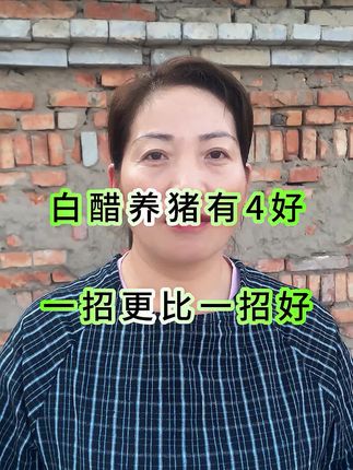 白醋养猪有4好,一招更比一招好#养猪经验分享 #养殖经验分享 #自繁自养母猪