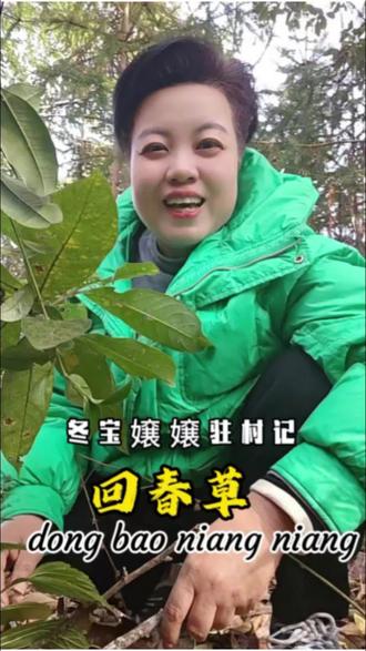 森林里发现几个“小土豆”,别以为是蘑菇,它是蛇菰(俗称:回春草!#原创 #原创视频 #神奇的大自然 #户外 #驻村的日子