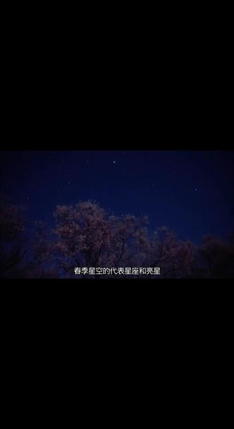 夜空中最亮的星
#春季星空 #宇宙浩瀚无垠 #观星者