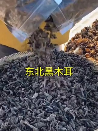 东北秋木耳-美食分享-木耳-家常菜!!!!