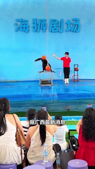 玉林海洋世界! 第一次来这里玩,着实把我惊艳到了!#玉林海洋世界 #遛娃 #遛娃好去处 #亲子互动 #五一去哪儿