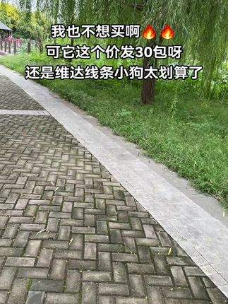 维达线条小狗手帕纸这个价到手30包,简直不要太划算了,趁活动赶紧囤起来#维达手帕纸#维达#手帕纸#出门必备#超便宜超划算