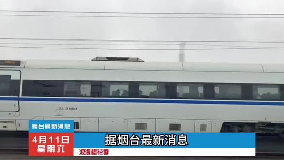 莱阳浪漫樱花季!官宣4雪15日正式开园!现推出一波特惠福利!#浪漫樱花季 #踏春赏花 #亲子游玩好去处 #周末去哪儿 #莱阳同城