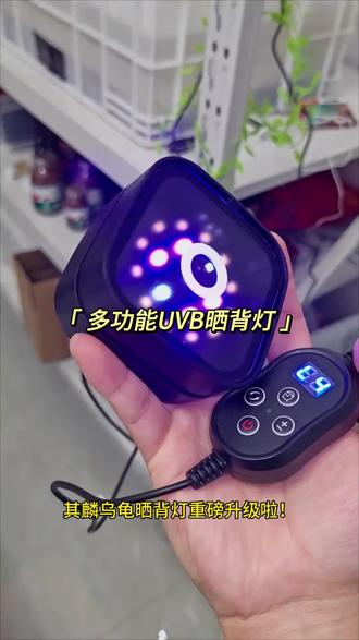 其鳞爬宠双模式智能LEDUVB灯定时爬虫饲养箱蜥蜴水龟补钙晒背灯架#饲养箱灯 #智能灯