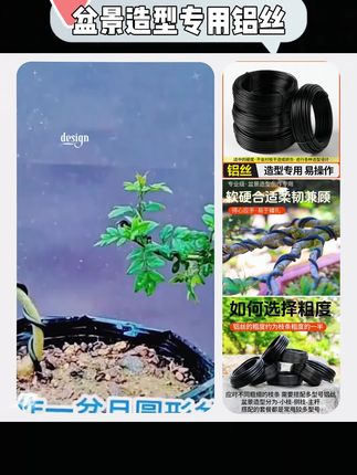 盆景造型专用铝丝铝线盘扎铝丝线蟠扎园艺铁丝花卉三角梅定型吕丝#铝丝 #盆景艺术 #园艺技巧 #盆景造型 #养花小知识
