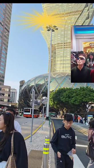 24k金叶9.8万片打造 观赏澳门发财树(吉祥之树,繁荣之树),愿金叶生辉、福运临门,财源滚滚随春到,喜气洋洋伴福来,四季平安顺遂,万事兴旺发达,所求皆如愿,所行皆坦途,富贵吉祥,步步高升!