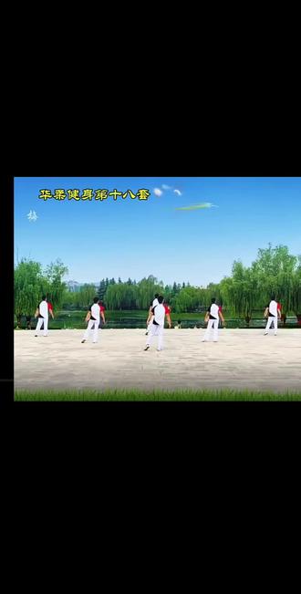 新套路学起来球友们#柔力球 #华柔柔力球