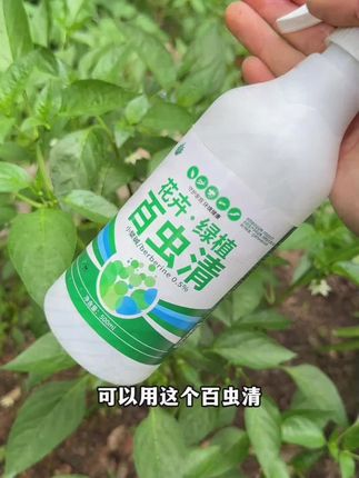 教孩子学会“吵架”,不惹事也不能怕事,在善良中带有一些锋芒,避免社交伤害#亲子教育#正确的引导孩子陪伴孩子 #家长必读