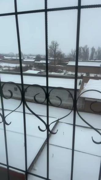 #小洛熙宁波妇儿医院事件 #小洛熙事件的详细经过 天上的星星不说话,地上的妈妈想娃娃