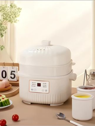 蒸煮粥营养辅食器电炖锅,隔水炖盅大容量五胆煲汤锅#电炖锅#隔水炖蒸锅#煲汤锅 @巨量千川