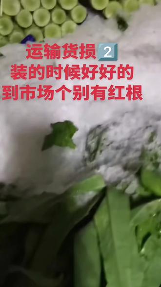 常温蔬菜运输怎么打冷 #冷藏车 #冷藏车厂家 #冷藏车冷链运输 #蔬菜 #蔬菜的搬运工