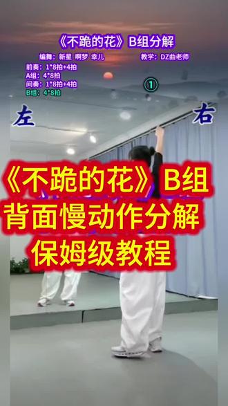 #dou上热门话题 #背面舞蹈分解 《不跪的花》广场舞慢动作分解保姆级教程B组 #零基础学舞蹈 #一学就会系列 #一步一步教会你跳舞d