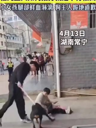 钨钢甩棍#防身棍 #强烈推荐