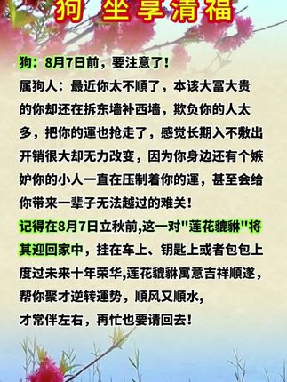 #生肖狗 #属狗 #狗