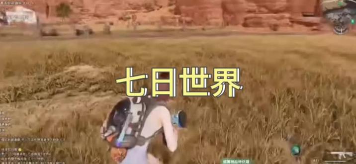 七日年化收益率。#七日世界 #七日世界新星计划