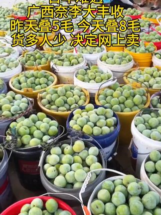 正宗农家奈李#奈李#原产地#李子#超便宜超划算 #油奈李