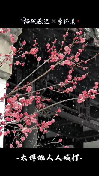 你高兴我活着#太傅他人人喊打 #广播剧 #古建梅花 #季怀真