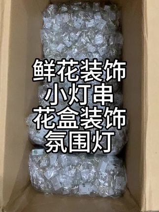 花束装饰灯串,花盒装饰氛围灯,2米暖灯#鲜花装饰灯 #鲜花装饰灯串 #花盒装饰氛围灯 #1米暖灯 #2米暖灯