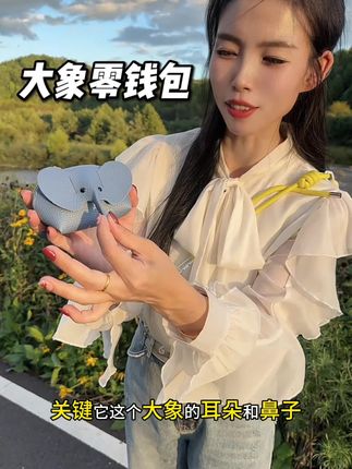 出门散步神器,不用背包带上这个#零钱包 就有,方便还好看!#小象零钱包 #零钱包包 #散步必备