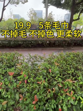 #好物推荐🔥 #居家好物 #吸水毛巾