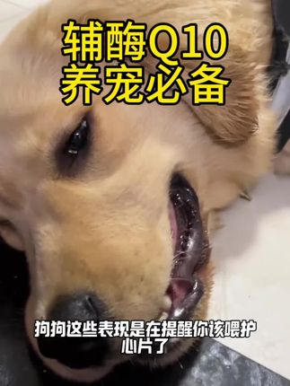 家有毛孩子的护心辅酶Q10一定要备起来,猫猫狗狗都可以吃#宠物辅酶q10 #宠物用品 #科学养宠攻略