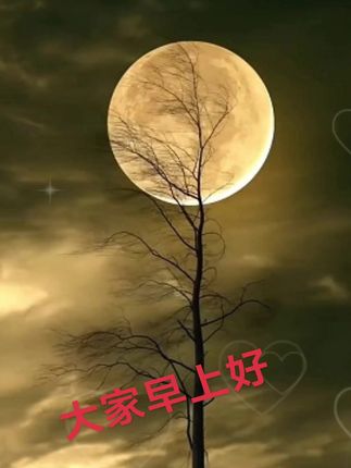 #窝头杂粮面好吃不贵,快来下单吧