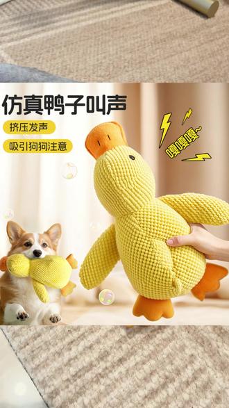 能发出仿真嘎嘎声的狗狗陪睡大黄鸭#狗狗玩具 #养宠进阶指南 #萌宠 #养宠好物