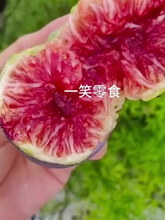 #人间美味有想吃的吗 #大自然的馈赠舌尖上的美味
