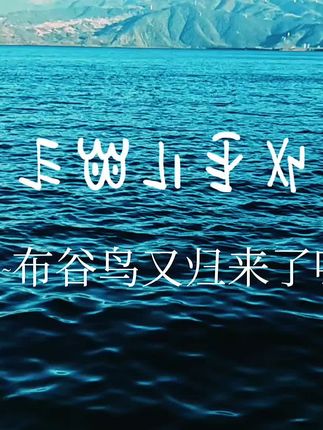 喜欢的歌,连字幕都想亲手写,每句都是戳心的真。#吉克曲布老鹰 #母语歌曲