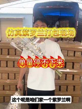 紫罗兰ins风干花仿真束手工客厅插花装饰永生摆件