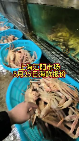 上海江阳市场5月25日海鲜报价#帝王蟹#龙虾#海鲜#生鲜#新鲜