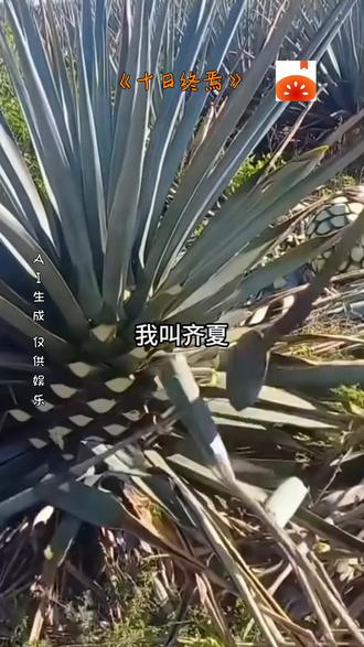 《十日终焉》#番茄小说#每日看好文