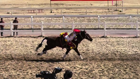 2026藏历新年初三,拉萨马术赛马。