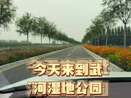 #原来钓鱼才是抖音运动顶流 #钓鱼人 #钓鱼人🎣 #户外@#钓鱼人就是这么疯狂