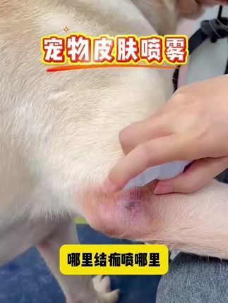 你家猫猫狗狗皮肤可能已经中招,破口,掉毛,结痂都可以喷一喷,宠物日常防护,呵护猫狗皮肤的问题,就用这个爪爪博士喷雾,养宠家庭可以试试!#新手养猫#新手养狗#狗狗皮肤护理#养宠经验分享 #宠物护理