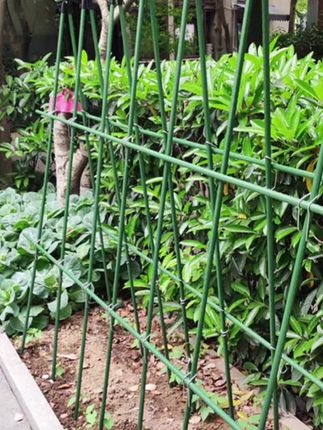 园艺爬藤架花支撑架葡萄架庭院豆角黄瓜种植箱月季西红柿植物通用#爬藤植物 #爬藤支架 #阳台种植 #阳台小院均可种植 #绿色蔬菜